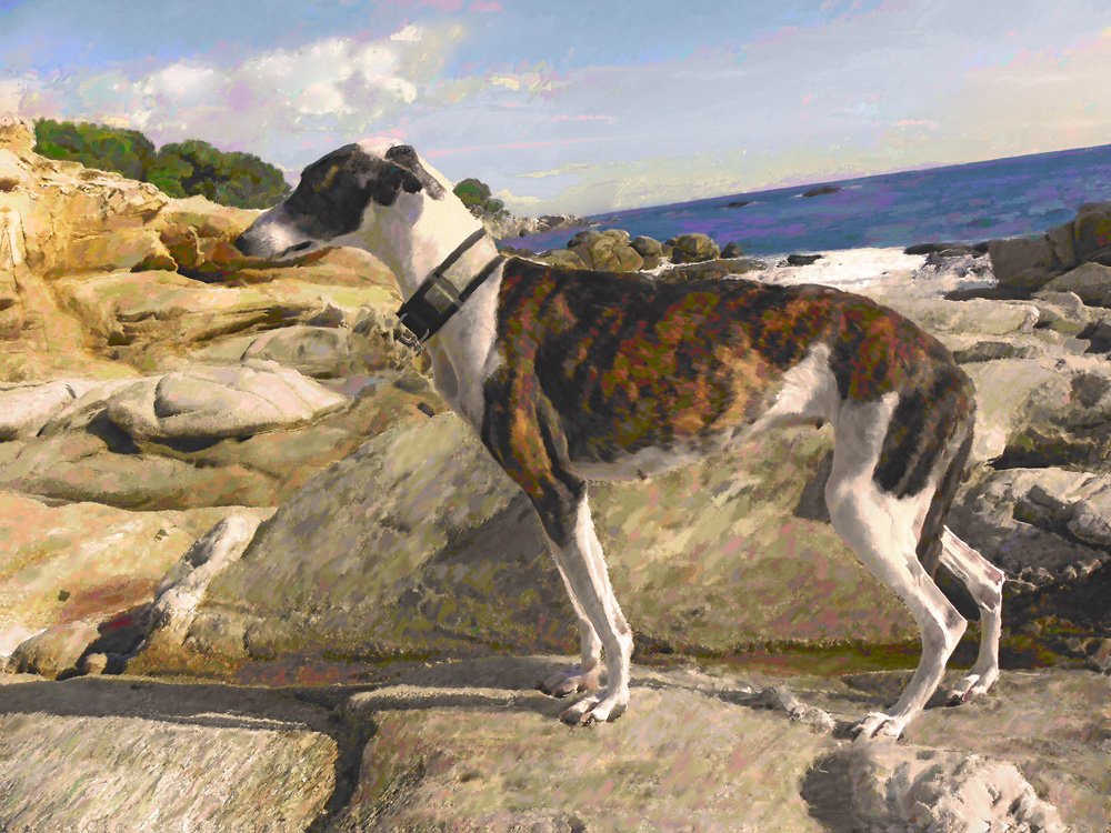 Cane simpatico al mare 1993 - opera pittorica di Vladi Magini