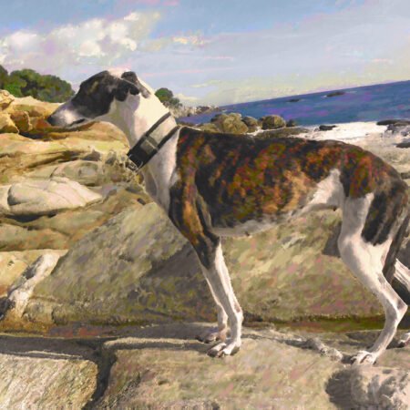 Cane simpatico al mare 1993 - opera pittorica di Vladi Magini