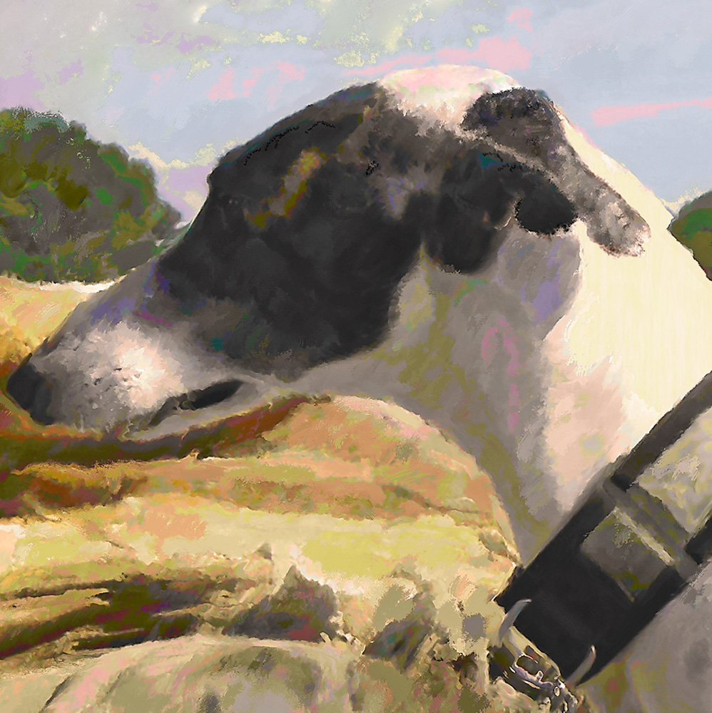 Dettaglio 1 - Cane simpatico al mare 1993 - opera pittorica di Vladi Magini