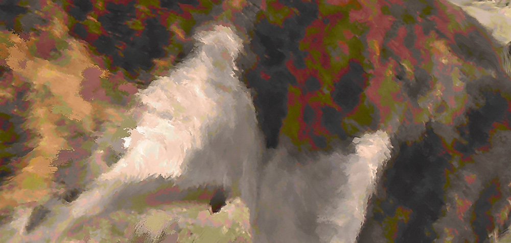 Dettaglio 2 - Cane simpatico al mare 1993 - opera pittorica di Vladi Magini